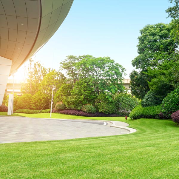 commercial landscaping